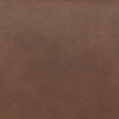 Status Check Recliner - Sanctuary Home Furnishings (CA)*