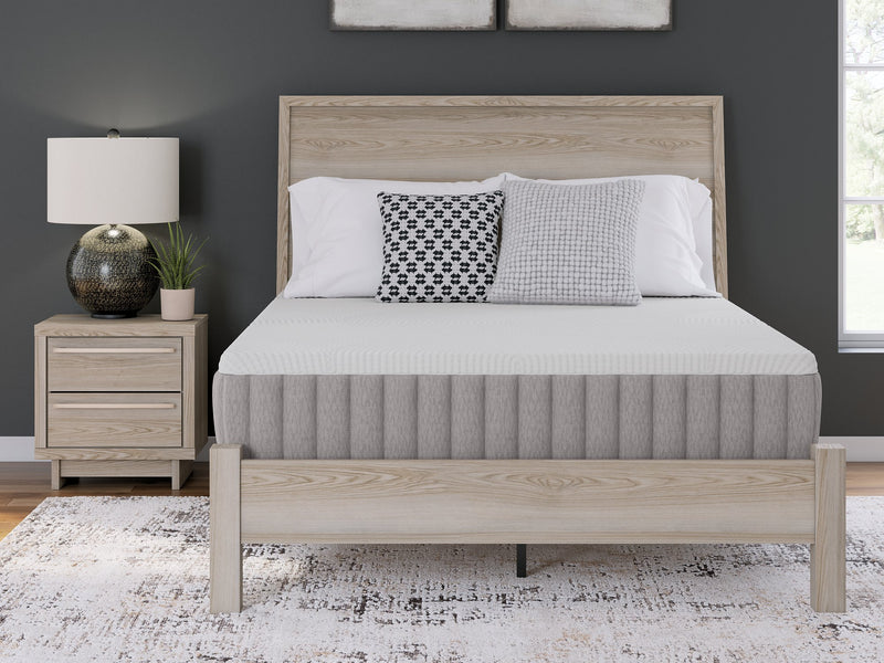 Terra Sleep Medium Mattress - Sanctuary Home Furnishings (CA)*