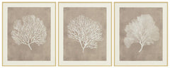 Hendridge Wall Art (Set of 3) - Sanctuary Home Furnishings (CA)*