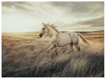 Errolville Wall Art - Sanctuary Home Furnishings (CA)*