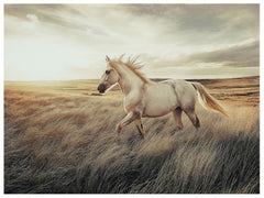 Errolville Wall Art - Sanctuary Home Furnishings (CA)*