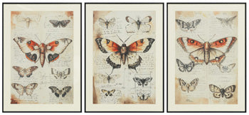 Jossletts Wall Art (Set of 3) - Sanctuary Home Furnishings (CA)*