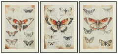Jossletts Wall Art (Set of 3) - Sanctuary Home Furnishings (CA)*
