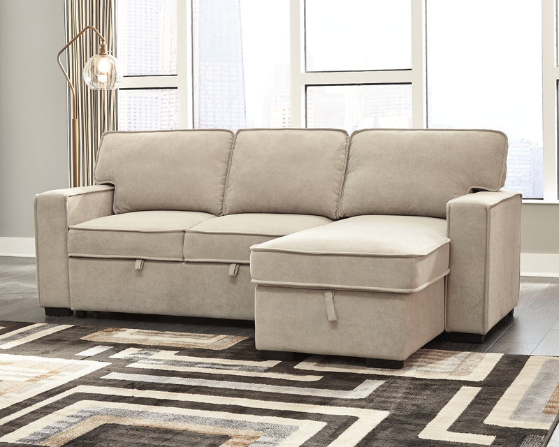 Darton Signature Design by Ashley 2-Piece Sleeper Sectional with Storage image
